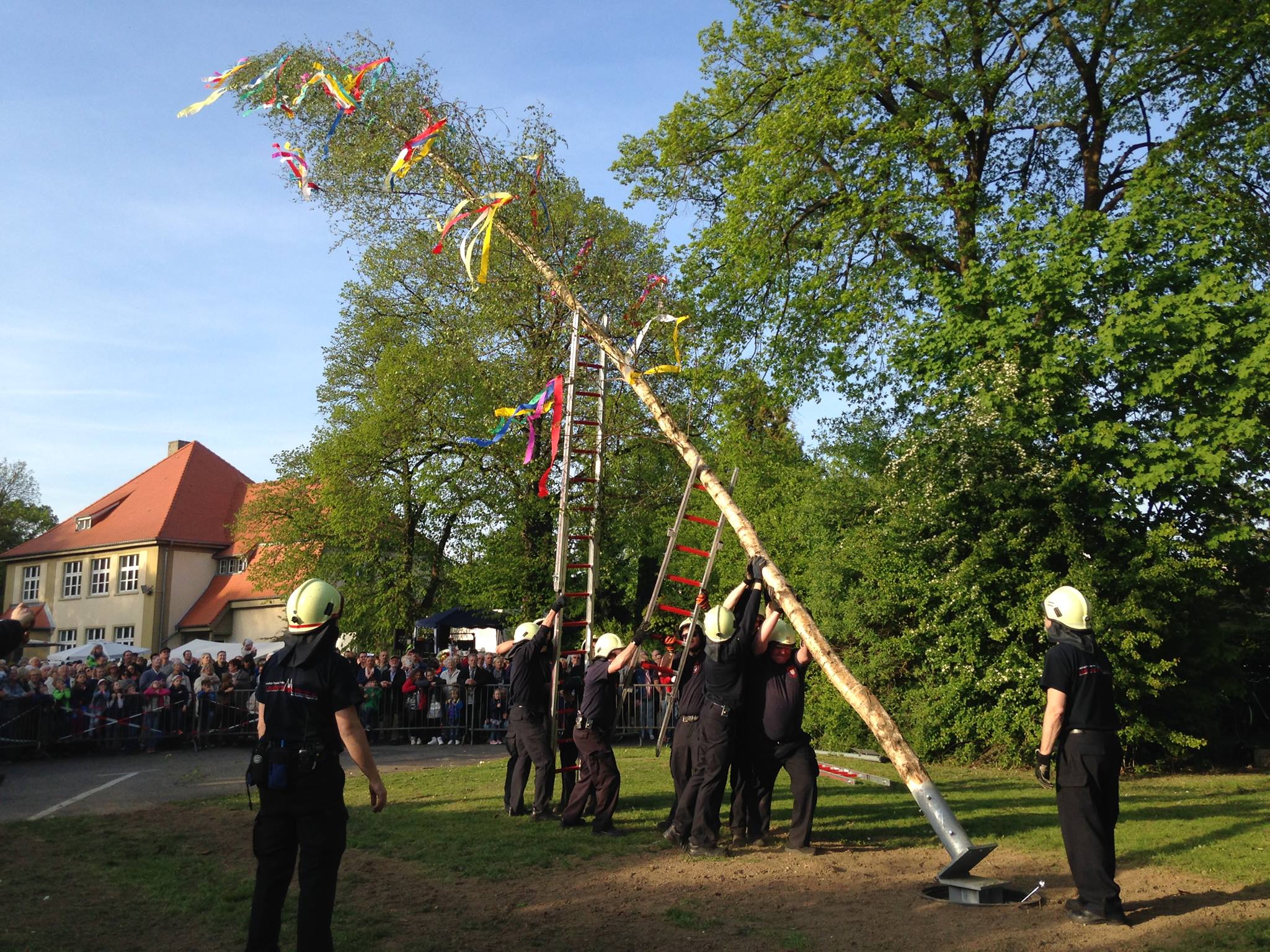Maibaum 2017 Rath/Heumar © Ellen Eichberg
